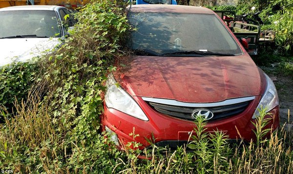 Napušteni parking i automobili vrijedni milijune dolara